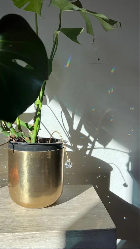 arched stake plant suncatcher