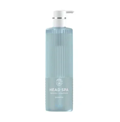 H&S Deep Experience Head Spa h&s Refresh x Smooth Shine Shampoo 435g