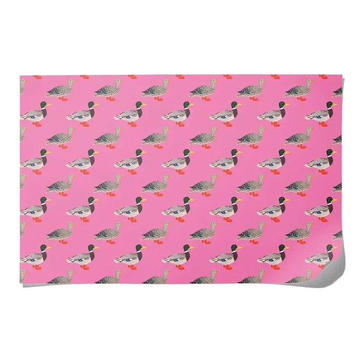 party ducks wrapping paper