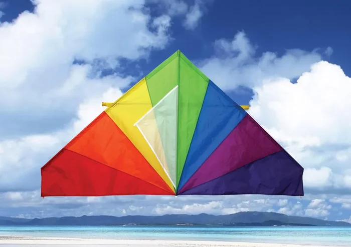 Skydog Kites 55″ Classic Delta