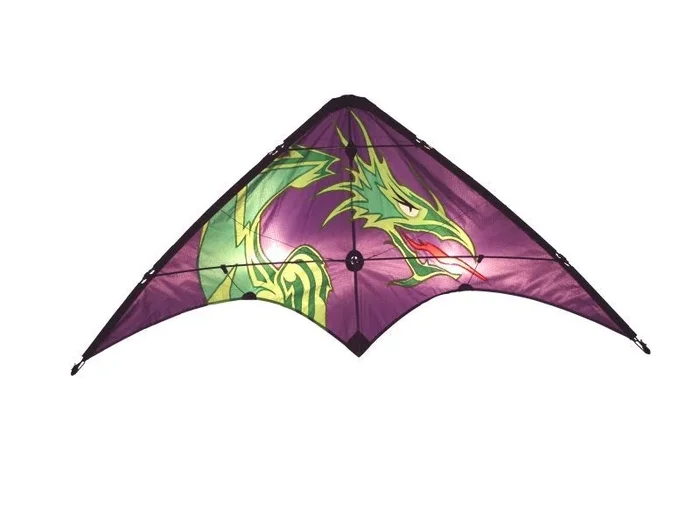 Skydog Kites Learn To Fly Dragon