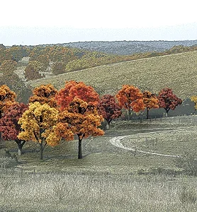 Woodland Scenics TR1575 Value Trees, Fall Mix .75-2″ (38)